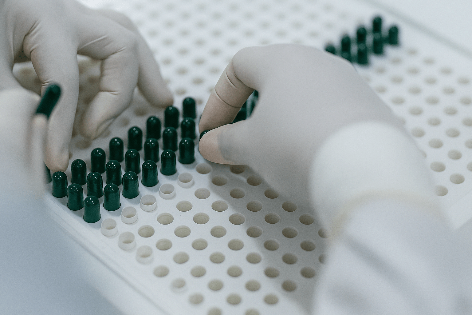 ChatGPT Image 22 août 2025, 11_02_30.png__PID:60be1df5-14e8-407b-8bb7-ab028abb13a6