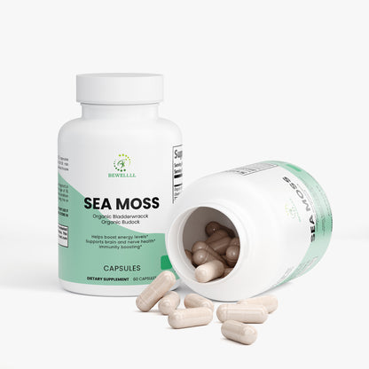 SEA MOSS