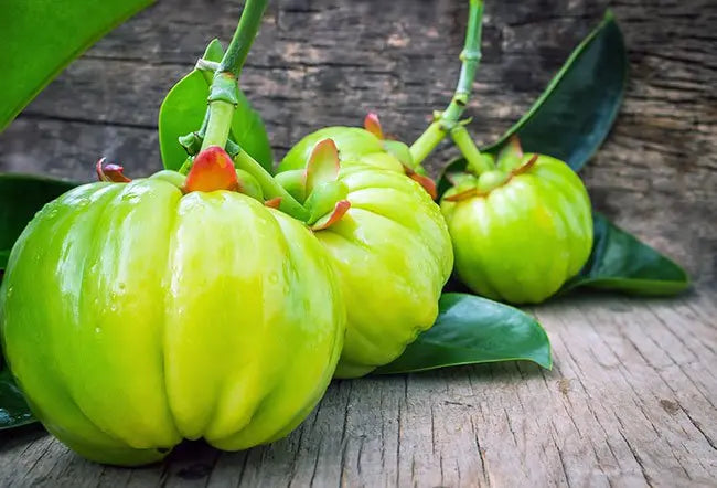 how-garcinia-cambogia-can-help-you-lose-weight-and-belly-fat.webp__PID:627ccf96-0a9e-4807-8c37-694b741e1e03